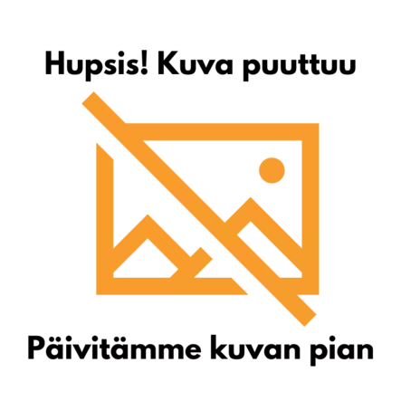 Pähkinätalipallo 6kpl - Lintujen talviruokinta, siemenet & talit - 6420614081457 - 1